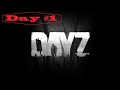DayZ возобновим игру и посмотрим карту с ботами