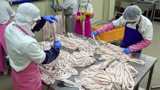 So Clean! Cow Intestine Food Factory. Amazing Food Mass Production