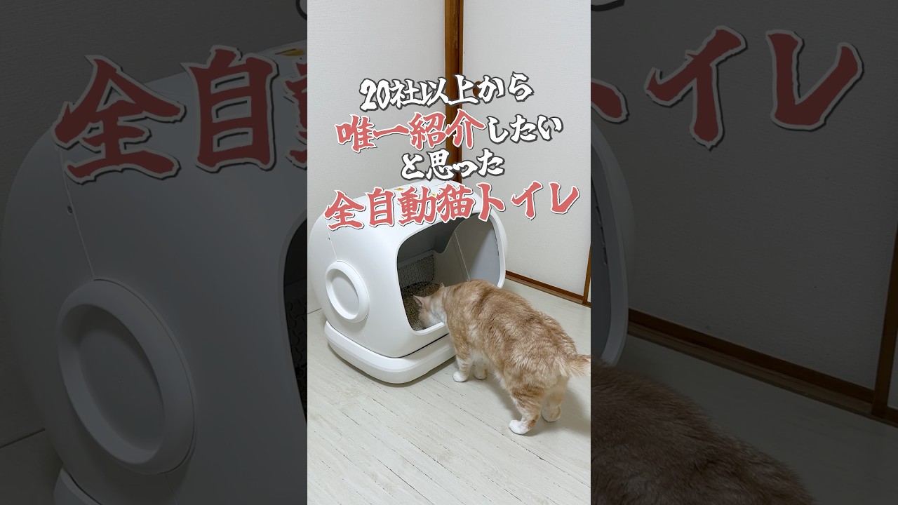 Fully automatic cat litter box #pr #UBPET #UBPETC41