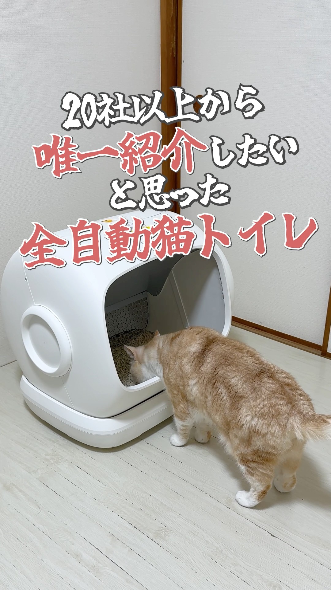 Fully automatic cat litter box #pr #UBPET #UBPETC41