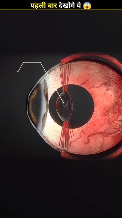 can-you-blur-your-eyes-facts-hindifacts-trendingfacts-newfacts