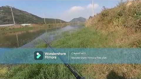 câu cá lóc ở hàn quốc