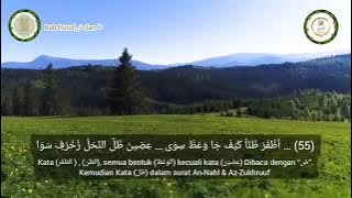 Matan Jazariyah | sa'ad al ghamidi | Penjelasan Bahasa Indonesia Lengkap