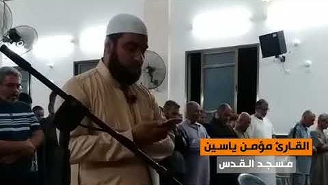 تلاوة هادئة || القارئ مؤمن ياسين || مسجد القدس في غزة || رمضان 1439هـ