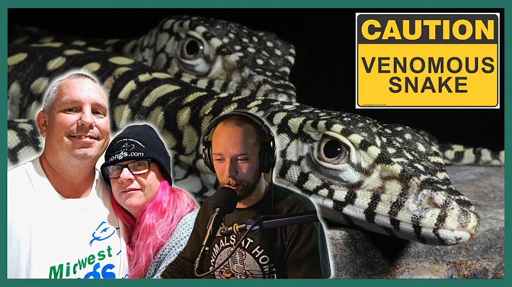 Reptiles of Australia, Venomous Keeping Protocols & More! | Scott & Tie Eipper
