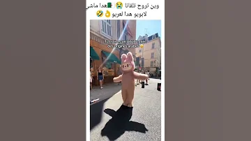 وين تمشي تلقانا هذا ماشي لابوبو لعربوبو 