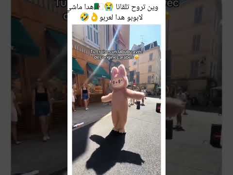 وين تمشي تلقانا هذا ماشي لابوبو لعربوبو