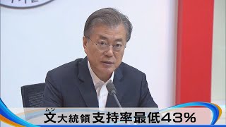 文大統領支持率最低43％