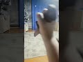 я и брат