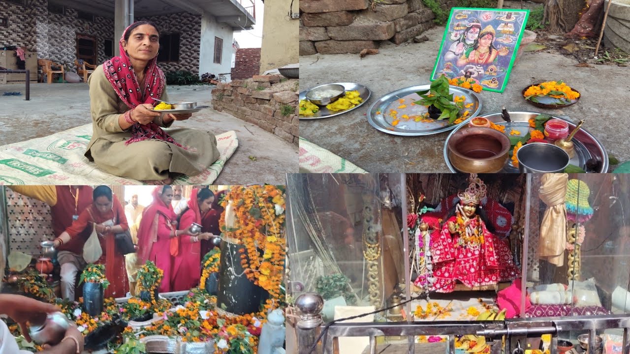 आज मनाया हमने शिवरात्रि का त्योहार  #bilaspurdistrict #viralvideo #vlog #shivratri 