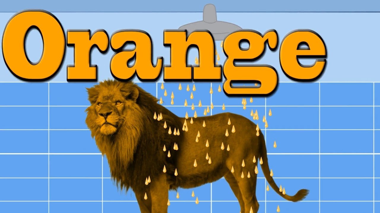 Real Wild Animals Animals Bathing Colors Fun Colors for Children to Learn Wild Animals