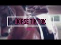 Horse Tik Tok / Конный Tik Tok part 2.
