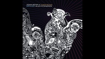 Adam Beyer & Alan Fitzpatrick -  Simple Maze (Patrick Siech Remix) (2011)
