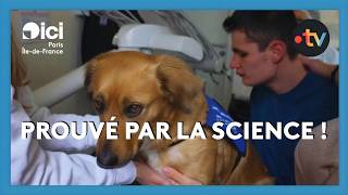 #Kestuf : Pooki, chien assistant dentaire