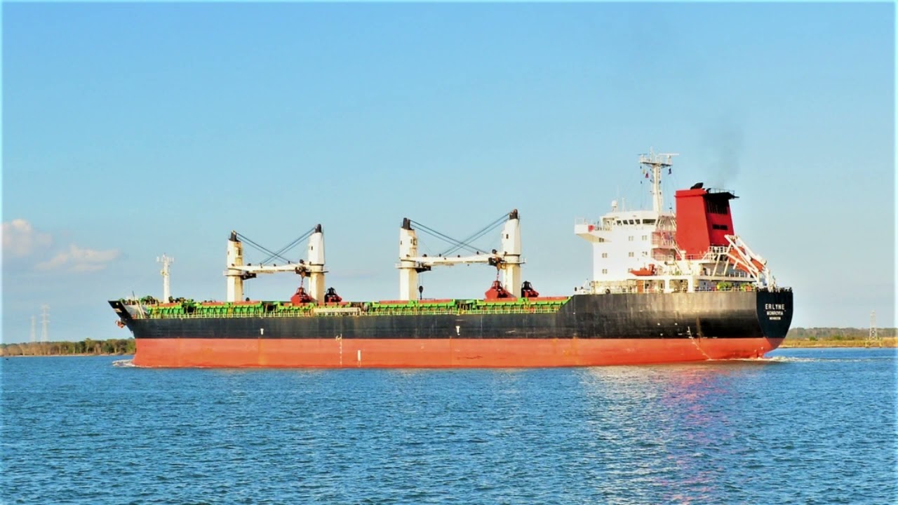 50,640 DWT Liberian flagged Bulk Carrier ERLYNE