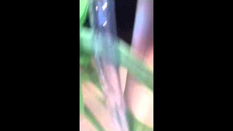 Nxt Mindstorms Water Dispenser