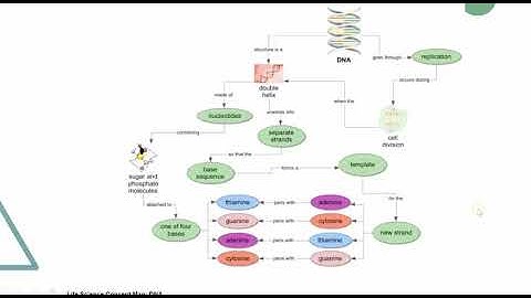 Intro to Concept Maps and Coggle