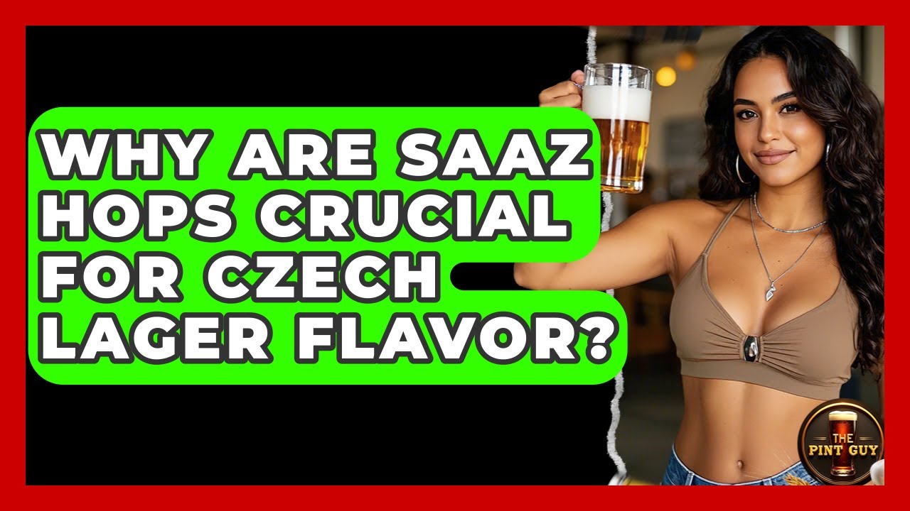 Why Are Saaz Hops Crucial For Czech Lager Flavor? - The Pint Guy