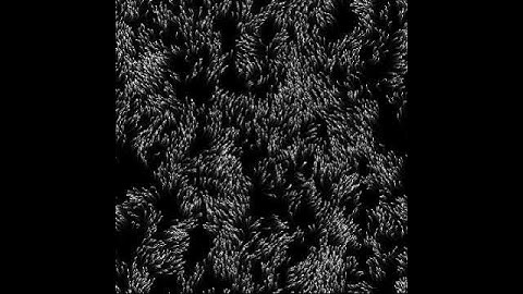 Self Driven Particles MATLAB Simulation 2.5% Concentration