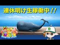 ロイクロ大回転！の巻 【CRスーパー海物語IN沖縄4】#ポイ活 #パチンコ #ぱちんこ #海物語 #沖海 #game #asmr #ライブ #shorts #short #ショート #縦型配信