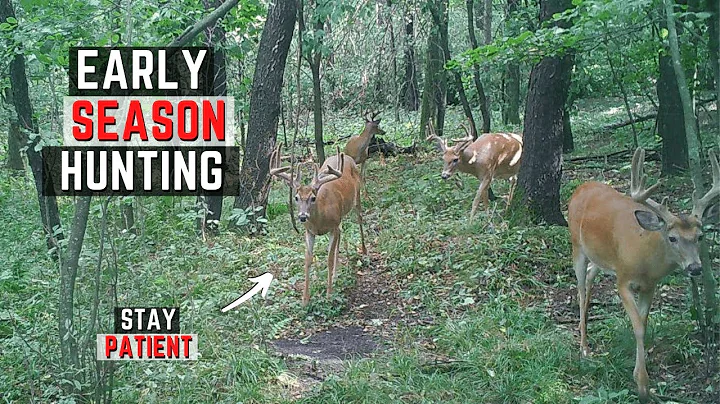 Early Season Whitetail Hunting Tips