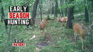 Early Season Whitetail Hunting Tips