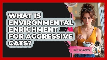 What Is Environmental Enrichment For Aggressive Cats? - Happy Cat Handbook