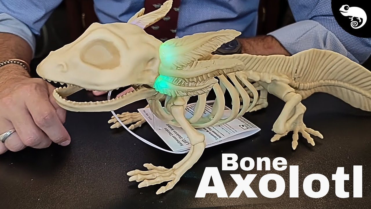 Zoologist Reacts To Your Horrible Halloween Decorations 2026