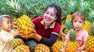 Harvesting Fresh Pineapples with My Kids – Selling at the Market and Caring for Our Farm Animals