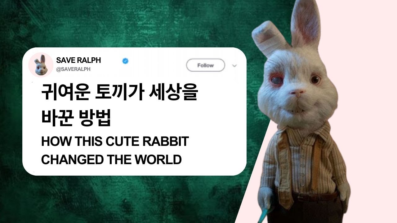 Subject Rabbit Ralph Save Ralph: 귀여운 토끼가 세상을 바꾼 방법 Save Ralph: The Bunny That Made a ...