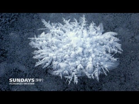 Strangest Weather On Earth:  Arctic Blooms!