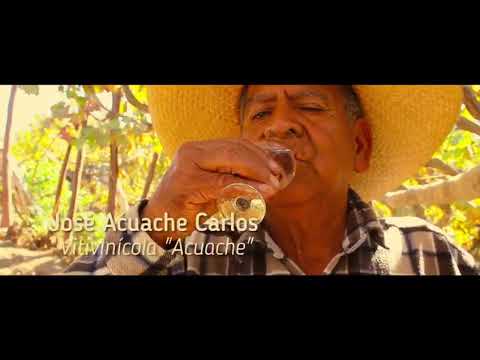 Celebremos el día del Pisco Celebremos el día del Pisco