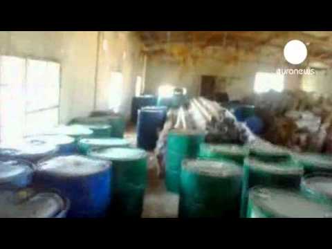 Сирийская оппозиция предлагает перемирие, но ждет оружия (euronews, 08.07.2013)