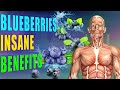 Download Lagu Blueberries Benefits Are Insane And Here Are The 15 Reasons To Eat Blueberries Every Day