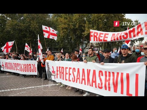 „თავისუფლება მიშას“ - სააკაშვილის მხარდამჭერი აქცია