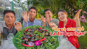 |1400| ỐC BƯƠU ĐEN LUỘC SẢ CHẤM CƠM MẺ NHÂM NHI BUỔI CHIỀU Ở QUÊ.