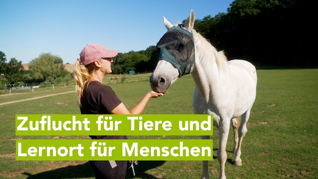 aktion tier Lottihof - Begegnungsstätte für Menschen und Tiere