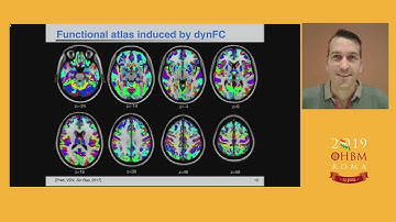 OHBM 2019 | Symposium | Dynamics of Large - Scale Brain Network Activity at High Spatial Resol…