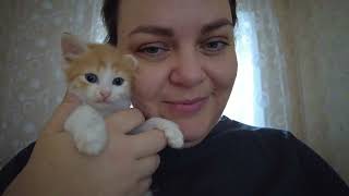 картинка: VLOG 537: СЧАСТЛИВЫЙ РЕБЁНОК!