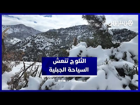 إقبال كبير للزوار على منطقة أيت ويرة بإقليم بني ملال للاستمتاع بالثلوج الاستثنائية