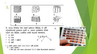 Bio-System Technology Spot Test Dulangi Karunarathna