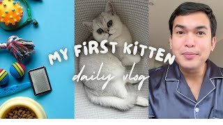 My First Kitten - Essential Pack