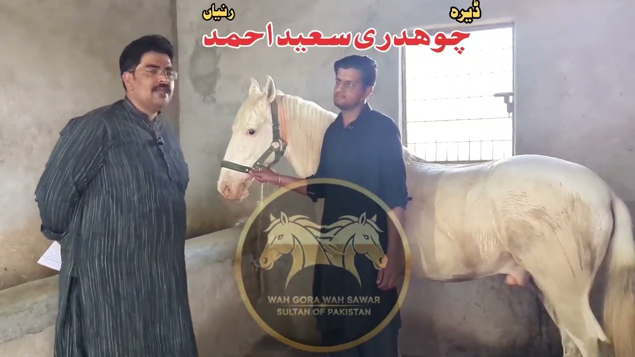 Dera chaudhari Ahmed raniya program madhumati kashyap 2026