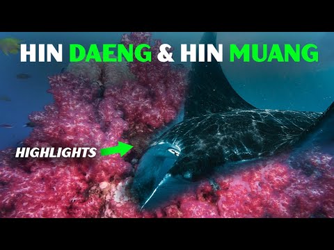 What’s the BEST Dive Spot in Koh Lanta for 2025? HIN DAENG HIN MUANG