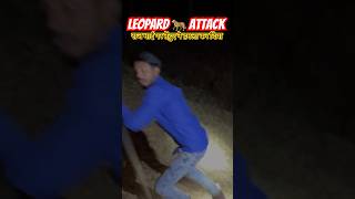 Leopard Attack In Deep Forest Camping