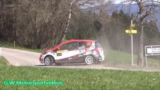 Lavanttal Rally 2024 (Drift Highlights & Mistake)