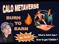 [REVIEW] NFT PROJECTS - CALO APP - BURN TO EARN (Burn calories and Earn money)