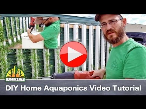 How to Build a Home Aquaponics System