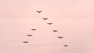 Meditation for Divine Life and Love - Prayer to Affirm Your Way to a Better Life screenshot 4