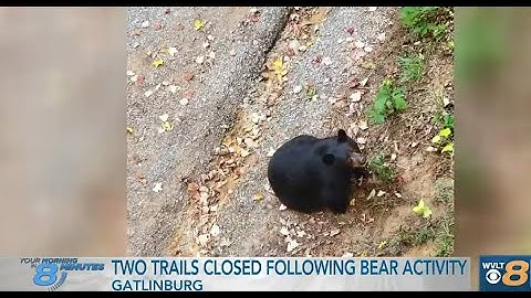 Catch Up Quick: Your headlines from 10/27 in 8 minutes or less